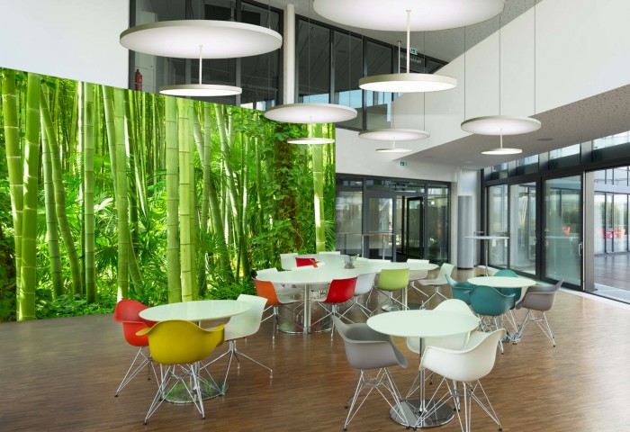 Akustik und Licht, wunderbar, alles in einem