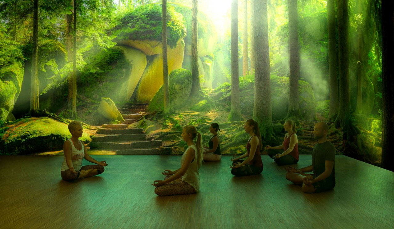 Yogakurs in entspannter Atmosphäre