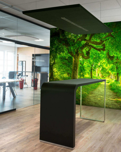 Schallabsorber Besprechungsraum